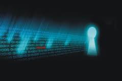 Looking for Web Application based Solutions